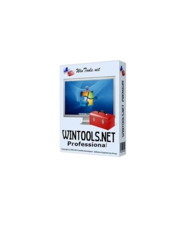 Wintools Professional Perfomance Optimizer Lifetime / 2 s Key GLOBAL